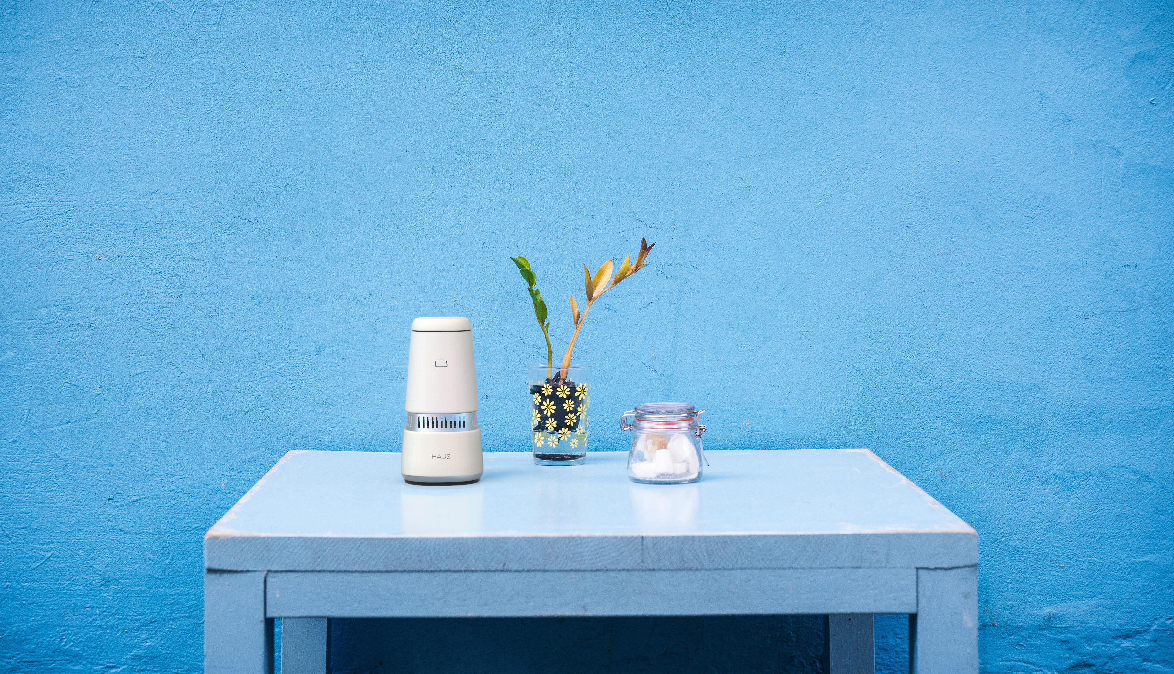 The HAUS Smart Speaker on a kitchen counter
